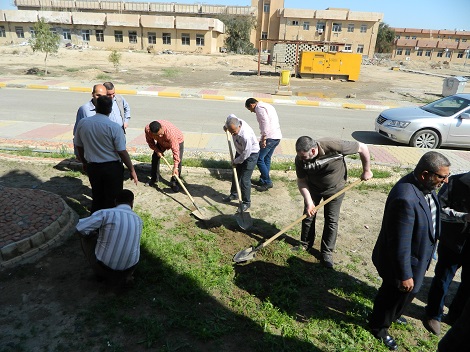 الامر الجامعي